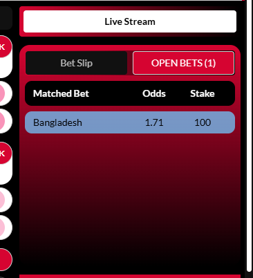 Open bets panel